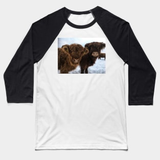 Scottish Highland Cattle Calves 1866 Baseball T-Shirt